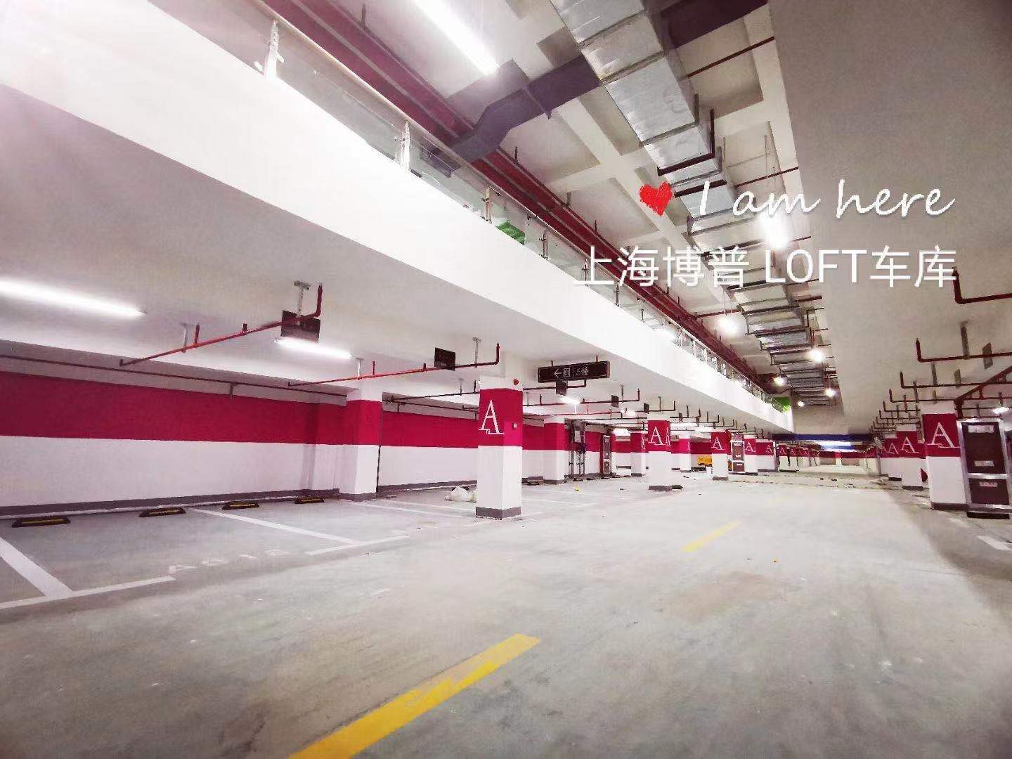 信阳已交竣的绿城豪华LOFT专利车库效果惊艳！